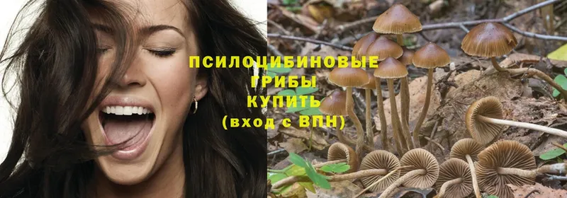 hydra зеркало  Собинка  Псилоцибиновые грибы Psilocybe  как найти  